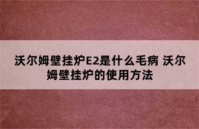 沃尔姆壁挂炉E2是什么毛病 沃尔姆壁挂炉的使用方法